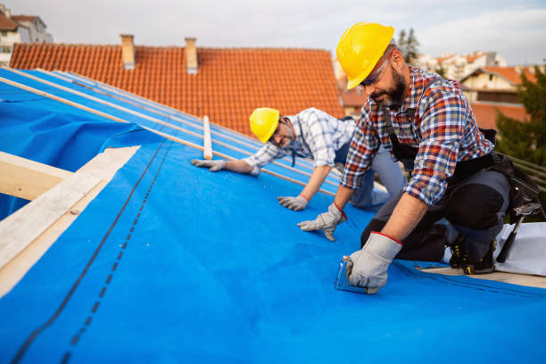 Roof Moss and Algae Removal in Gilbert, MN